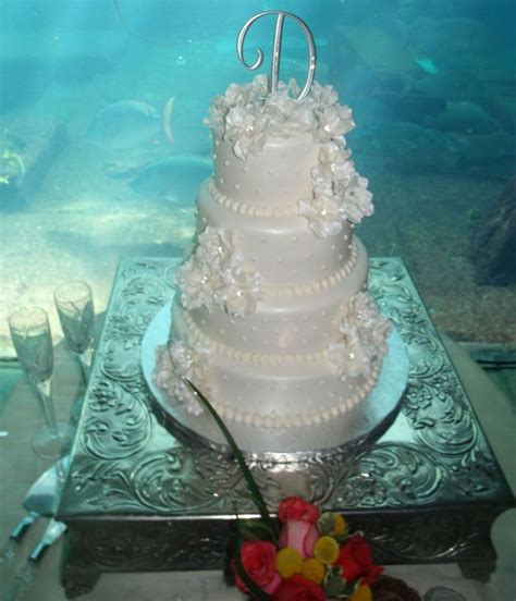 I brought cupcakes to work every day, which would place a smile on the faces of my peers. 104 best The Cakebox Bahamas Wedding Cakes images on ...