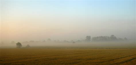 Wallpaper Fog Field Morning Mist Dawn Sky Plain Haze