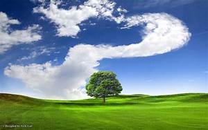 Blue, Field, Lonely, Tree, Over, The, Hill, U2013, Nature, Fields, Hd