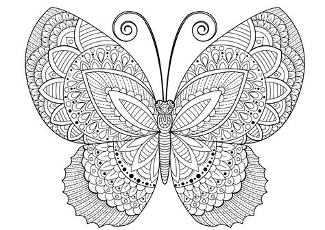 Kolorowanka “motylek Dla Dorosłych” Do Druku Planeta Dziecka