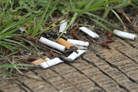 How Cigarette Butts Pollute The Environment