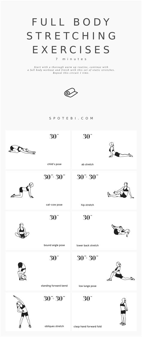 Stretching Exercises Worksheet