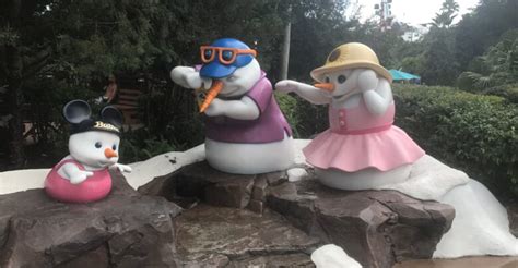 Dealing With Cold Temperatures While At Walt Disney World