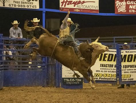 Not Their First Rodeo Photos From Southeastern Championship Bull