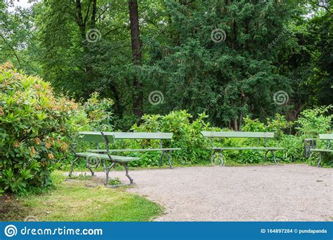 Walk Through The Tiergarten Park Stock Photo Image Of Capital Famous