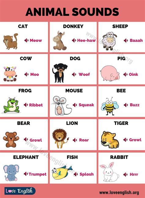Different Types Of Animals And Their Sounds