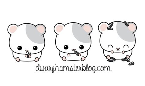 Free Winter Hamster Cliparts Download Free Winter Hamster Cliparts Png