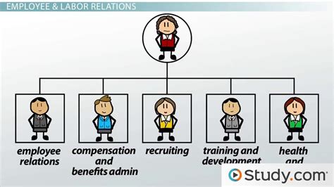 Hr Department Function And Internal Structure What Is An Hr Department