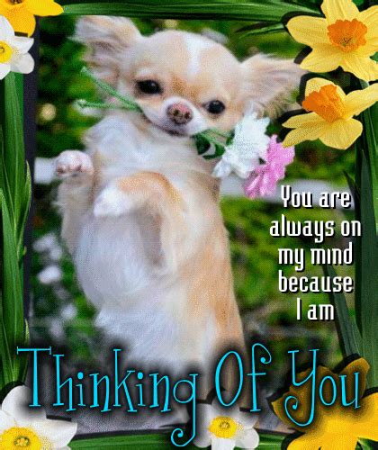 Always On My Mind Ecard Free Thinking Of You Ecards Greeting Cards