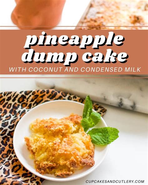 Then prepare a box of vanilla or white chocolate instant pudding according to package instructions. Easy Pineapple Dump Cake with Condensed Milk | Recipe in ...