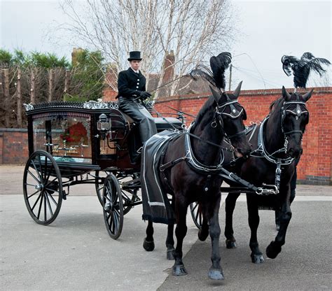 Tamworth Co Op Receiving Record Number Of Requests For Horse Drawn