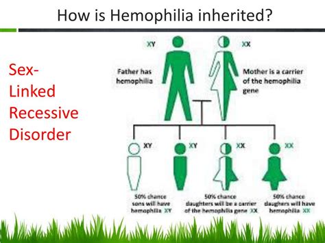 Blood Type A Hemophilia Is A Sex Linked Recessive In A Cross Between A