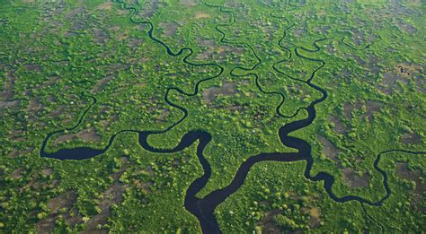50 Unbelievable Facts About The Everglades You Must Know 2023