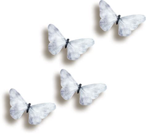 Download Hd Butterflies 3d Butterfly Reposted White Butterfly