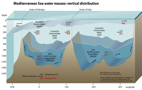 Mediterranean Sea Water Masses Vertical Distribution A Photo On