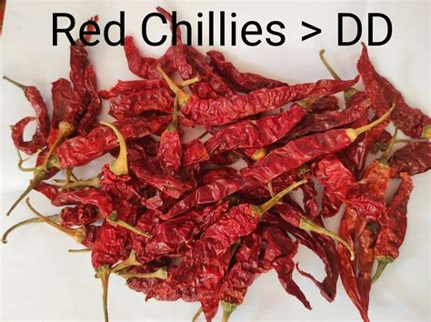 Guntur Dry Red Chillies Dd 25 50 Kg At Rs 230kg In Jaipur Id