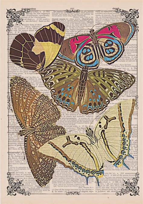 Antique French Art Nouveau Butterflies Art Print 7 On By Eraprints 9
