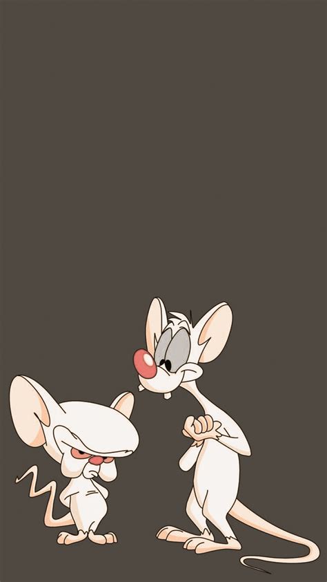 Are you more creative than logical? Pinky and the Brain Wallpaper (64+ images)