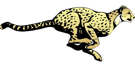 Download Cheetah Running Speed Royalty Free Vector Graphic Pixabay