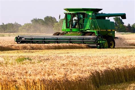 Which Crops Are Raised In Commercial Grain Farming In 2021