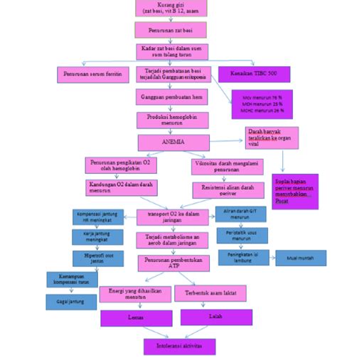 Anemia Defisiensi Besi Final Concept Map Patofisiologi Etiologi