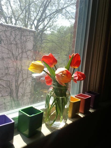 Sizes are typically around 300 millilitres (11 imp fl oz; Tulips | Tulips, Glass vase