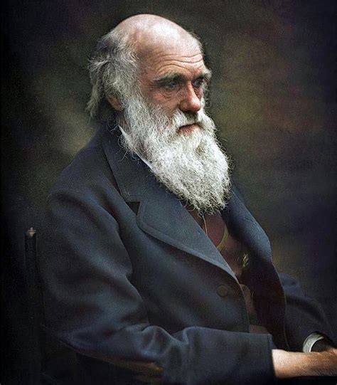 Charles Darwin Ca 1874 Charles Darwin Darwin Portrait