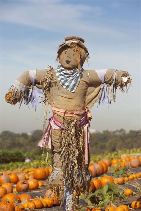 Home Countryside Make A Scarecrow Scarecrow Festival Scarecrow