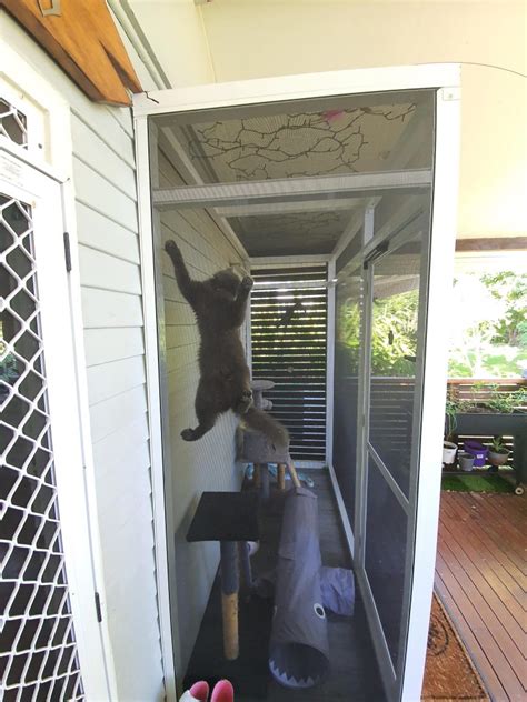 Outdoor Pet Enclosures Suncoast Outdoor Living