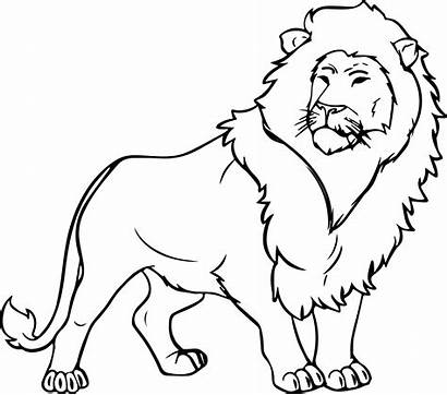 Lion Coloring Pages Realistic Printable Getcolorings Colorings