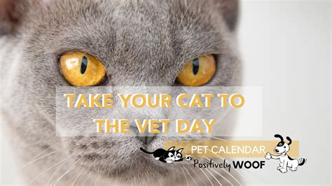 Pet Calendar National Take Your Cat To The Vet Day Positively Woof