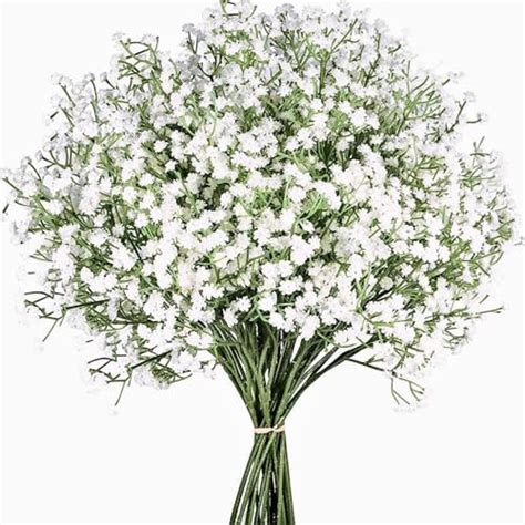 Lylyfan Babys Breath Artificial Flowers12 Pcs Gypsophila Real Touch