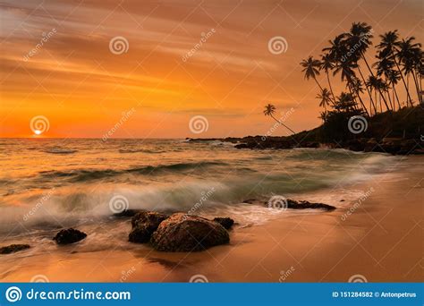 Romantic Sunset On A Tropical Beach With Palm Trees Stock