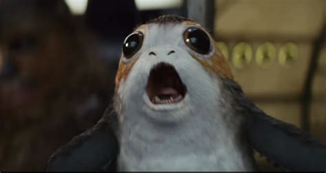 What Is A Porg Heres What You Need To Know About The Creature From