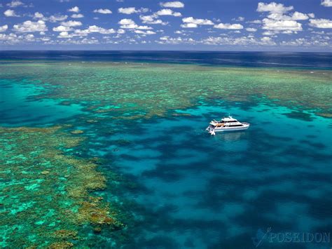 2 Day Reef Daintree Rainforest Culture Tour Featuring Poseidon