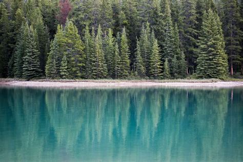 5207101 4716x3144 Blue Water Scenic Lake Louise Forest Dense