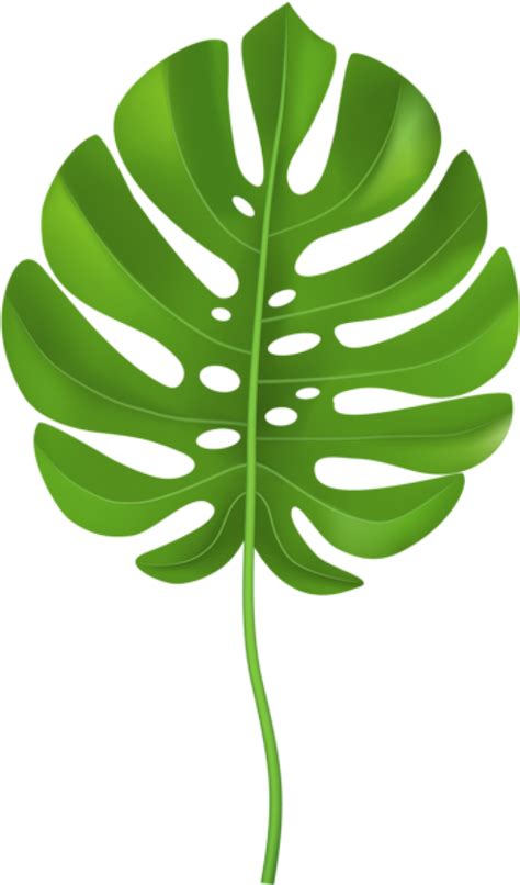 Jungle Leaves Clipart Palm Leaf Clipart Transparent Png Download