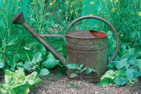 Tinning is the process of thinly coating sheets of wrought iron or steel with tin, and the resulting product is known as tinplate. How to Give Metal A Faux Rusty Coating | How to make metal, Metal watering can, Watering can