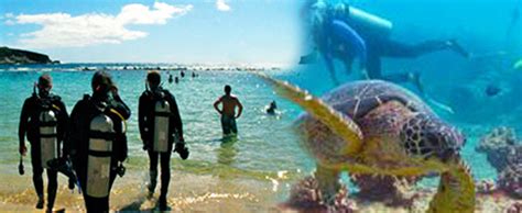 Living Ocean Scuba Hanauma Bay Scuba Dive Hawaii Discount