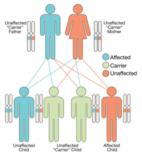 An example of an autosomal recessive condition is cystic it is caused by a faulty recessive allele on chromosome 7. ADA-SCID: Gene therapy with Strimvelis recommended | thasso