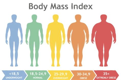 Body Mass Index And Your Health Doktorconnect
