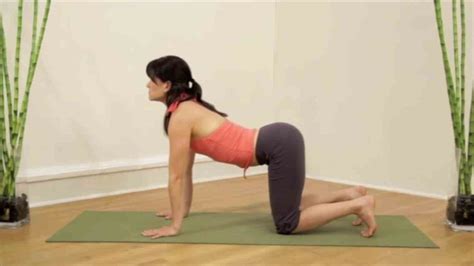 A Tabletop Position On Your Hands And Knees With Knees The Work Out