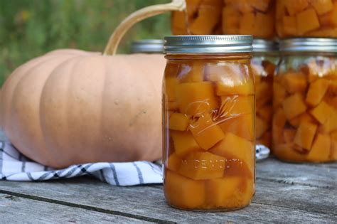 Canned Pumpkin Publixchat Messenger