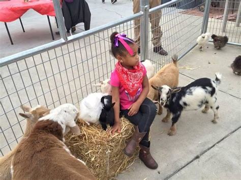Come learn about the animals. MOBILE PETTING ZOO *get a free bunny with petting zoo ...