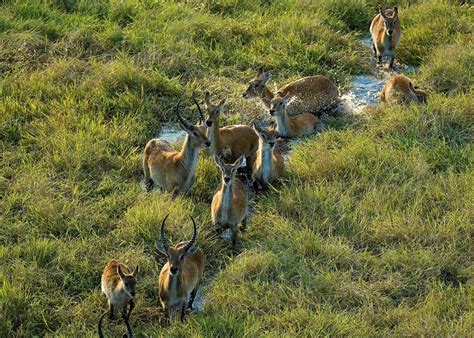 Visit The Kafue National Park In Zambia Audley Travel