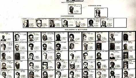 The Mob Across America: Mafia Charts | Crime family, Mafia crime, Mafia