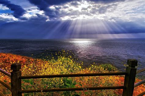 Coast Nature Landscape Wildflowers Sun Rays Sea Fence Clouds