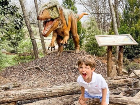 Dinotrek Makes A Return To The Nashville Zoo Williamson Source