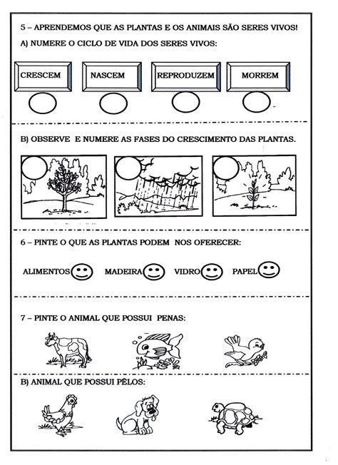 Atividades De Ciencias Ano Rela Es Entre Os Seres Vivos