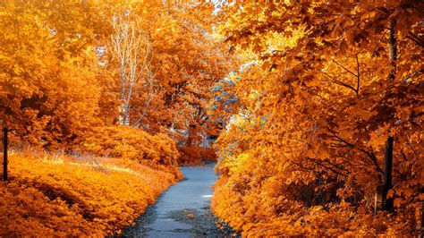 Download Wallpaper 3840x2160 Autumn Path Park Foliage